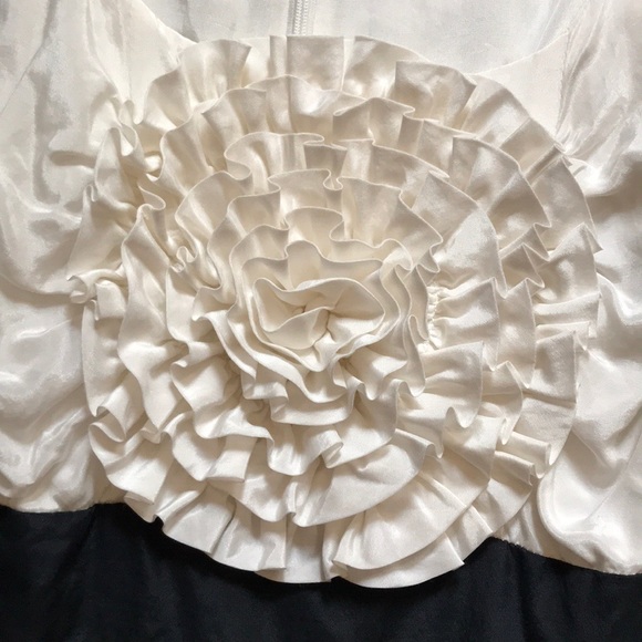 Anthropologie Flower Striped Dress NWOT - Picture 3 of 6